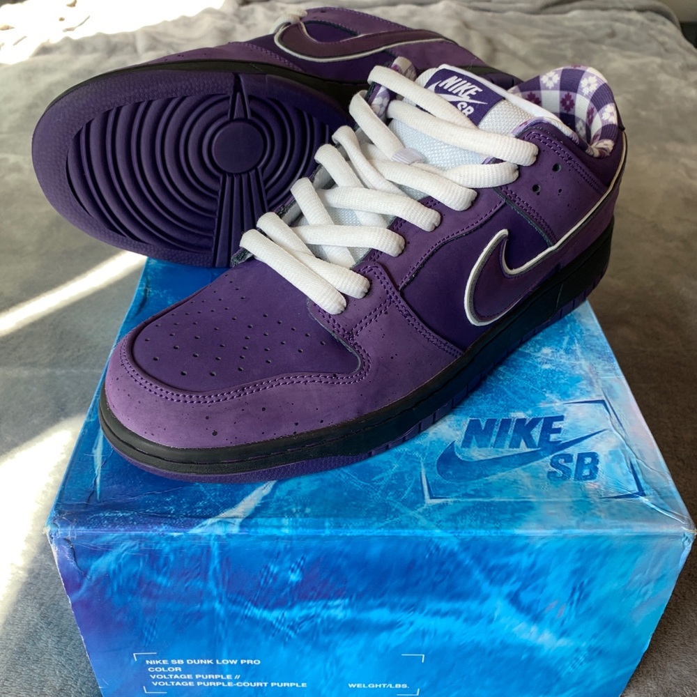 Nike SB Concepts Purple Lobster